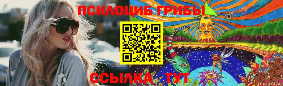 Галлюциногенные грибы прущие грибы  Вход с VPN  даркнет сайт  Алексеевка  Псилоцибиновые грибы Magic Shrooms 
